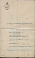 1908 Petrozsény, Salgó-Tarjáni K?szénbánya-Részvény-Társulat Bányaigazgatósága által Iskolaigazgatónak Küldött Számadás - Unclassified