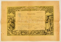 1927 Magyar Királyi Téli Gazdasági Iskola Bizonyítvány - Non Classificati