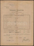 1939-1944 Zsolna Nev? Kanca Származási Bizonyítványa, Csikólevele, 3 Db - Unclassified