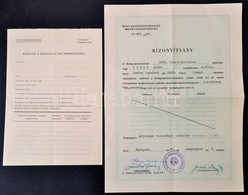 1960 Budapest, Belügyminisztériumi Vizsgabizonyítvány Rend?r F?hadnagy Részére + Kitöltetlen Kérelem - Unclassified