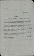 Cca 1920-1932 Kassa, Dr. Grosschmid Géza (1872-1934) Felvidéki Kisebbségi Politikus, Szenátor, Kés?bbi Miskolci Királyi  - Zonder Classificatie