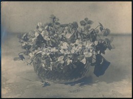 Cca 1930 Virágcsendélet. Kaksa Rajmund Tatai Fényképész Fotója. Hagyatékából.23x17 Cm - Other & Unclassified
