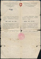 1944 A Svájci Nagykövetség Menlevele Magyar Zsidó Személy Részére.Megviselt. / Embassy Of Switzerland. Schutzpass For Hu - Autres & Non Classés