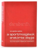Dr. Miltényi Márta: A Sportmozgások Anatómiai Alapjai. Bp.,1980, Sport. Kiadói Egészvászon-kötés, Jó állapotban. - Non Classés