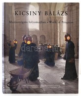 Kicsiny Balázs: Munkavégzés Folyamatban. Bp., 2002, Ludwig Múzeum. Kiadói Kartonált Papírkötés, Magyar és Angol Nyelven. - Non Classés