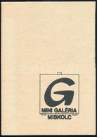 1990 Babos Ágnes (1948-) Kiállítási Katalógus. Miskolc,1990, Mini Galéria. Kiadói Papírkötés. A Szerz? által Dedikált. - Non Classés