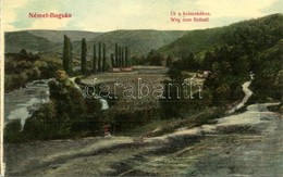 ** T2 Boksánbánya, Németbogsán, Bocsa; út A Kutacskához, Kiadja Adolf Rosner / Street, Forest, Leporellóból Kivágva - Unclassified