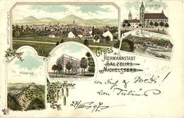 T3 1899 Nagyszeben, Hermannstadt, Sibiu; Michelsberg, Salzburg, Naturwissenschaftliches Museum, Grosser Ring / Kisdisznó - Non Classés