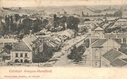 T2/T3 1910 Aranyosmarót, Zlaté Moravce; Utca. Steiner Samu Kiadása / Street (fl) - Unclassified