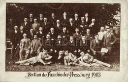 ** T3/T4 1903 Pozsony, Pressburg, Bratislava; A Szövetkezet Tagjai / Section Der Fassbinder / Members Of The Cooper. Gro - Unclassified