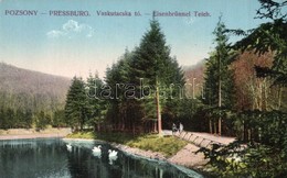 * T2 1900 Pozsony, Pressburg, Bratislava; Vaskutacska-tó / Eisenbrünnel (Eisenbründl) / Zelezná Studénka, Lake - Unclassified