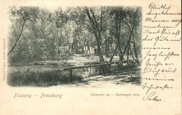 T4 1898 Pozsony, Pressburg, Bratislava; Oroszvári-ág / Karlburger-Arm / Rusovce River Branch (lyuk / Hole) - Unclassified
