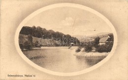 T2 Selmecbánya, Schemnitz, Banska Stiavnica; Halicsi Tó. Joerges Kiadása 1913. / Halcianske Jazero / Lake - Unclassified