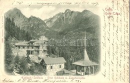 T2/T3 1899 Tátra, Tatry; Tarpatakfüred Szálloda, Lomnici Csúcs / Hotel Kohlbach, Lomnitzerspitze / Lomnicky Stít / Hotel - Unclassified