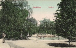 T2 Nagykikinda, Népkert / Public Park - Non Classés
