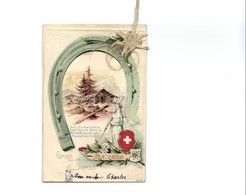 * T2 Helvetia. Gruss Aus Der Schweiz! / Horse Shoe, Real Flower, Coat Of Arms. Emb. Litho - Non Classificati