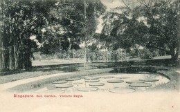 ** T2/T3 Singapore, Botanical Garden, Victoria Regia ( Slightly Wet Corner) - Non Classés