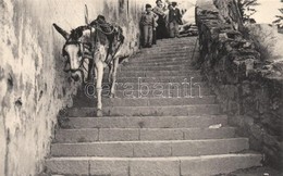 ** T1 Donkey On Stairs - Non Classificati