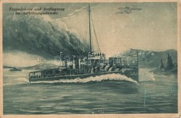** T2/T3 Torpedoboot Und Seeflugzeug Im Aufklärungsdienste / Austro-Hungarian Navy Torpedo Boat, Airplane (EK) - Non Classés