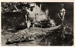 * T2/T3 Capture D'un Caiman Mangeur D'hommes / Capture Of A Man-eating Caiman (EB) - Unclassified