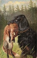 T2 Hunting Dog With Fox. K.V.B. Serie 9005. S: M. Müller - Zonder Classificatie