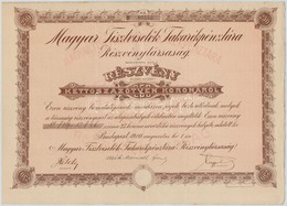 Budapest 1910. 'Magyar Tisztvisel?k Takarékpénztára Részvénytársaság' Bemutatóra Szóló Részvénye 250K-ról (2x) Szárazpec - Unclassified