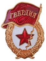 Szovjetunió ~1960-1970. 'Szovjet Gárda Jelvény' Aranyozott, Zománcozott Fém Jelvény Csavaros Hátlappal  (48x36mm) T:1-,2 - Other & Unclassified