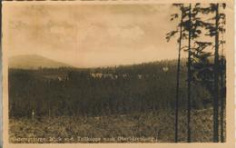 Osterzgebirge V. 1949  Blick V. D. Tellkoppe Nach Oberbärenburg   (923) - Bärenstein