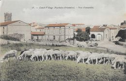 Canet-Village (Pyrénées-Orientales) - Vue D'ensemble, Troupeau De Moutons - Carte Colorisée N° 75 Non Circulée - Canet En Roussillon