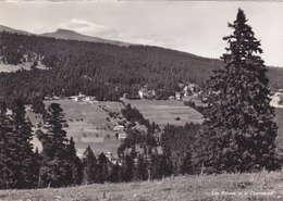 SUISSE,HELVETIA,SWISS,SCHWEIZ,SVIZZERA,VAUD,SAINTE CROIX LES RASSES,PRES YVERDON LES BAINS,CARTE PHOTO DERIAZ - Yverdon-les-Bains 