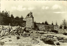 CP De MARTELANGE " Monument Des Chasseurs Ardennais " - Martelange