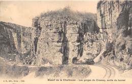 38-MASSIF DE LA CHARTREUSE- LES GORGES DU CRESSEY , SORTIE DU TUNNEL - Chartreuse