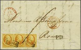 NL 1864 King William III - Other & Unclassified