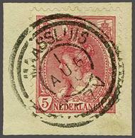 NL 1899 Numerals And Queen Wilhelmina - Autres & Non Classés