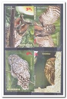 Roemenië 2013, Postfris MNH, Birds, Owls - Neufs