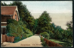 RB 1212 - Early Postcard - The Warren Caversham Reading - Berkshire - Reading