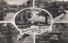 SHEFFIELDS BONNIE PARKS - Gel.196?, 3 Marken - Sheffield