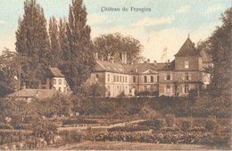 Château De Prangins           Ca. 1910 - Prangins