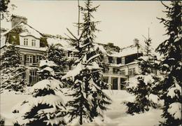 AK Neufahrland Bei Potsdam Kliniksanatorium Heinrich Heine Hauptgebäude, Ungelaufen, 2 Scans, Konsum Fotocolor Echt Foto - Neu Fahrland