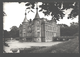 Poeke - Kasteel (op Zijde) - Nieuwstaat - Fotokaart - Aalter