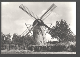 Ertvelde - Stenenmolen - Nieuwstaat - Molen / Mill /moulin - Evergem