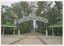 SILVER SPRINGS, Florida, Main Entrance, Unused Postcard [21683] - Silver Springs