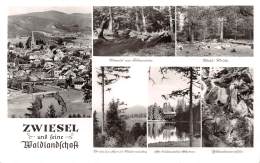 ZWIESEL Und Feine Waldlandschaft - Zwiesel