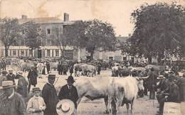 La Roche Sur Yon  85  :  Marché Aux Boeufs     (voir Scan) - La Roche Sur Yon