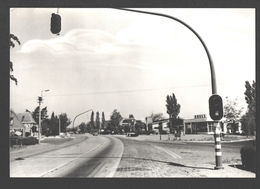 Waarschoot - Steenweg Op Eeklo - Nieuwstaat - Fotokaart - Shell Pompstation - Waarschoot