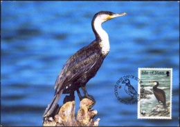 BIRDS-GREAT COROMORANT-MAXIMUM CARD-ISLE OF MAN-1989-MNH-MC-50 - Albatros