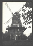 Sint-Pauwels - Roomanmolen - Nieuwstaat - Moulin / Mill - Sint-Gillis-Waas