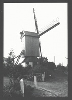 Knesselare - Pietendriesmolen - Nieuwstaat - Moulin / Mill - Knesselare