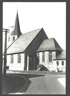 Opbrakel - St. Martinuskerk - Brakel