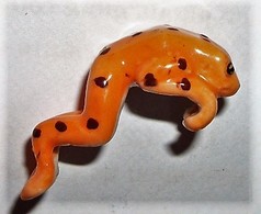 Grenouille Orange (CL) - Animaux